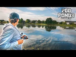 I Found A LOADED Neighborhood Pond! ("200 Ponds" Ep. 24)