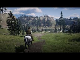 Secret Cabin in Red Dead Redemption 2 and More LIVE!