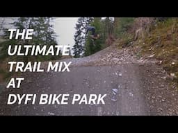 Dyfi Bike Park Laps and The Dirt Directory