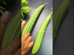 RIDGE GOURD Buying Secrets You Need to Know #VegetableShoppingTips