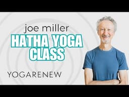 Hatha Yoga Class with Joe Miller | YogaRenew FREE Yoga Class