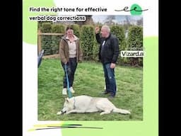 Stop your dog's misbehaviour with no yelling