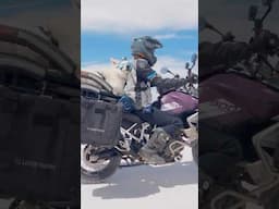 Dream motorcycle ride with puppy #shorts