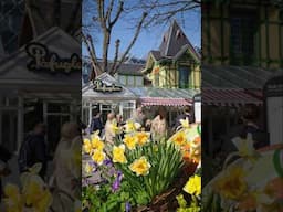 2nd #Oldest #Amusementpark in the #World! #tivoligardens are open for #Easter #summer in #Copenhagen