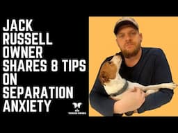 Jack Russell Owner Shares 8 Tips on Separation Anxiety