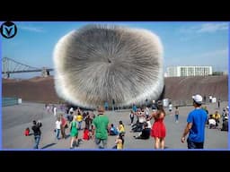 One In a Billion Moments In Nature Caught On Camera