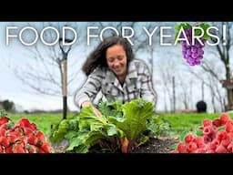 Plant These Crops NOW for More FOOD SECURITY (and save tons of money!)