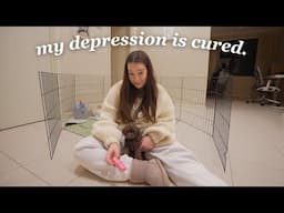 GETTING A PUPPY!