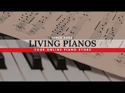 Live Masterclass: How to Dramatically Improve Your Piano Playing
