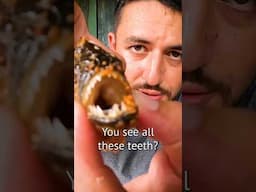 Eating Piranhas in the Amazon (Totally Unexpected) 🇧🇷