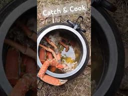 Woodland dinner with Amber #crab #catchandcook #wilderness