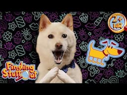Dog Science | Sniffing, Chasing & Understanding | Finding Stuff Out | 9 Story Fun