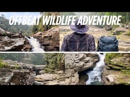 Offbeat Wildlife Adventure in Dima Hasao