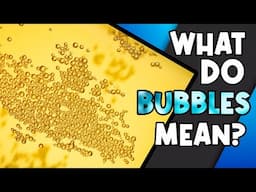 What do Bubbles Mean In Homebrew?