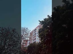Things love about our neighbourhood pt2 amazing bird song! #sg #birdsong #singapore