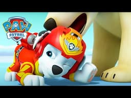 Marshall Meets a SCARY Polar Bear! -  PAW Patrol Episode - Cartoons for Kids