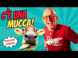 Ho scritto una canzone dedicata a una mucca!