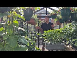 What I’m sowing & growing in May