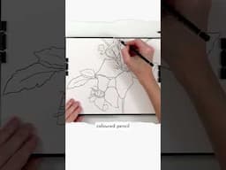 Paint these Clematis flowers with me
