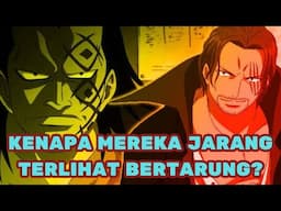 Karakter One Piece Jarang Sekali Terlihat Bertarung ! Ada Yang Belum Pernah Sama Sekali