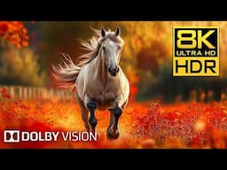 UNSEEN ANIMALS COLLECTION – 8K (60FPS) ULTRA HD – With Nature Sounds (Vibrant & Dynamic)