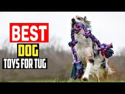 ✅Top 5 Best Dog Toys For Tug Of War in 2025