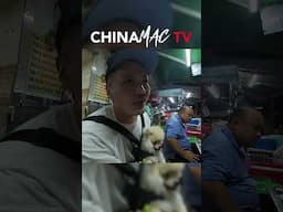 Why ‘China Mac’? The Truth About Being Asian in America