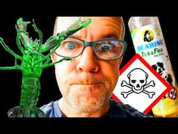 What KILLED our CRAYFISH Broodstock???
