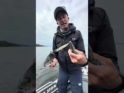 Lee Rayner fishing with the Ryuki 50MDSP