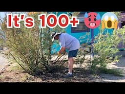 Final Prep for 2nd Shed 💪🏼 Hard Work in the Sun at 100+ Temps 🥵 More Transplants 💥 - S10.E58