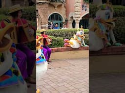 Disneyland Paris, Daisy is so sassy! What do you think Donald? Disney Music Festival
