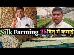Silk farming, लाखों की कमाई 25 दिन में, resham ki kheti, silkworm farming, #silkfarming