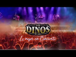 Los Dinos de Chile 🦖🤠 - Pequeña Enamorada  (EN VIVO)