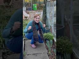 I’M SO EXCITED! IT’S MARCH! 🎉🌱🪴 #marchgarden #imsoexcited #garden #spring #kitchengarden
