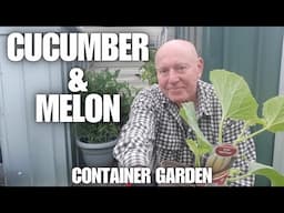 Growing cucumbers and melons in containers  [Container Gardening ]