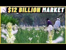 Tuberose Cultivation: The AMAZING Journey From Bud to Perfume Bottle!