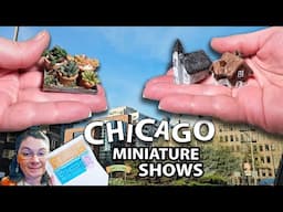 2 Shows in 1 Weekend and a MINIATURE HAUL! (Vlog)