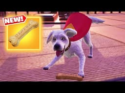 New Krypto Treat in Fortnite Chapter 6 Season 3 Update