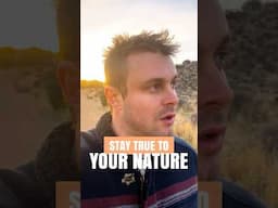 Projector, Align With Your True Nature!