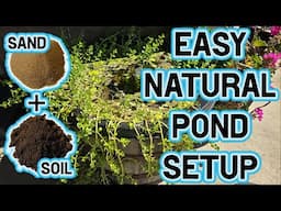 How to Set Up a Mini Outdoor Pond in Spring | Half-Barrel DIY with Live Plants & Medaka