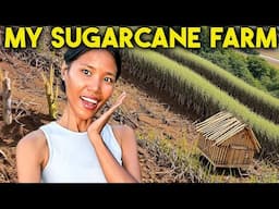 Simple Life in the Philippines: Sugarcane Dreams, Grilled Chicken & Mosquitoes