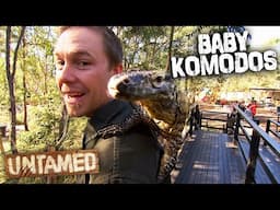 Exploring Australia’s Coolest Lizards!