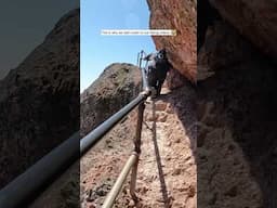 The reality of an out-of-shape hiking couple. lol #HikingHumor #funnyvideos #Travel #Hiking