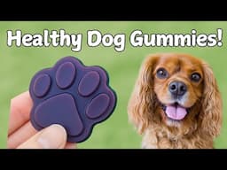Healthy Gummy Dog Treats with Aloe Vera and Blue Spirulina | Easy 4 Ingredient Recipe