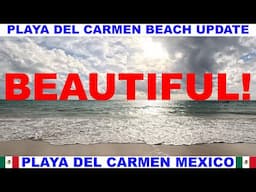 PLAYA  DEL CARMEN MEXICO BEACH AND SEAWEED UPDATE - BEACHES ARE BEAUTIFUL
