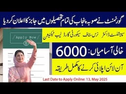 Maryam Nawaz Hospital Joint Venture Program 2025 | Apply Now | Last Date 13 May 2025
