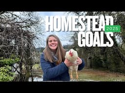 Homestead Goals 2025 - Chewy Sourdough Chocolate Chip Cookies