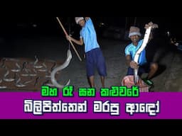 Amazing Way Of Eel Fish Catching at Night In Sri Lanka | SL Fisherman