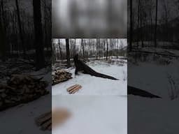 Building a Janky Asymmetrical Tarp Shelter