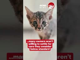 One in four pet owners report ditching vets for this reason
